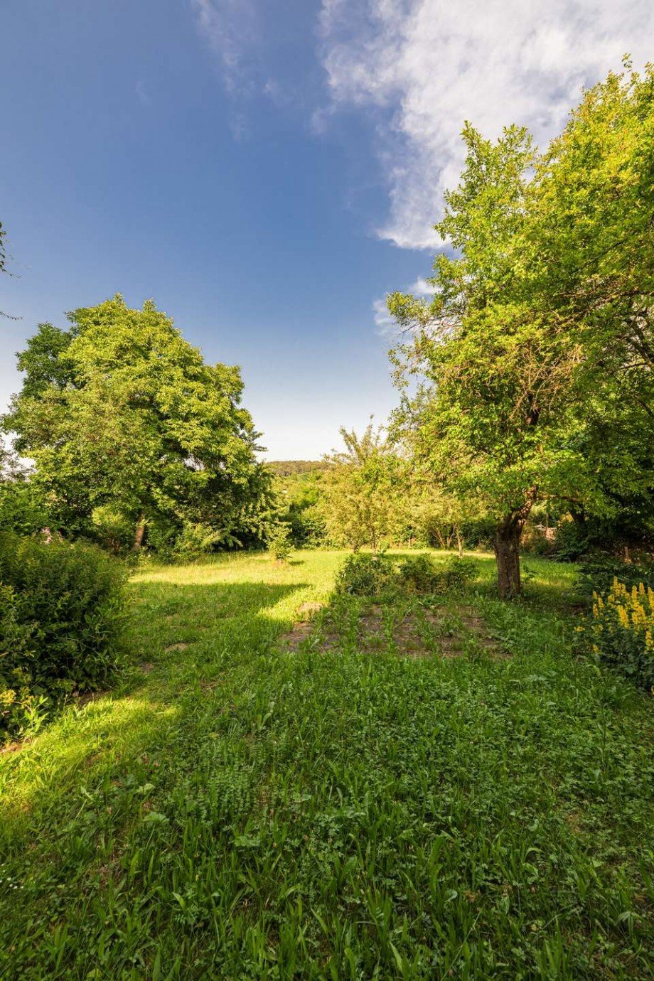 Aussicht vom Haus in den Garten Einfamilienhaus Ulm