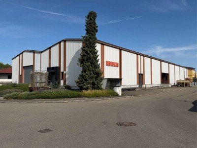 Hauptbild Gro�e Lagerhalle auf 2 Etagen in Erbach zu vermieten!