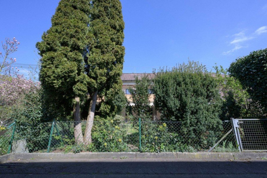 Garten - Perspektive 1 Reihenmittelhaus Neu-Ulm