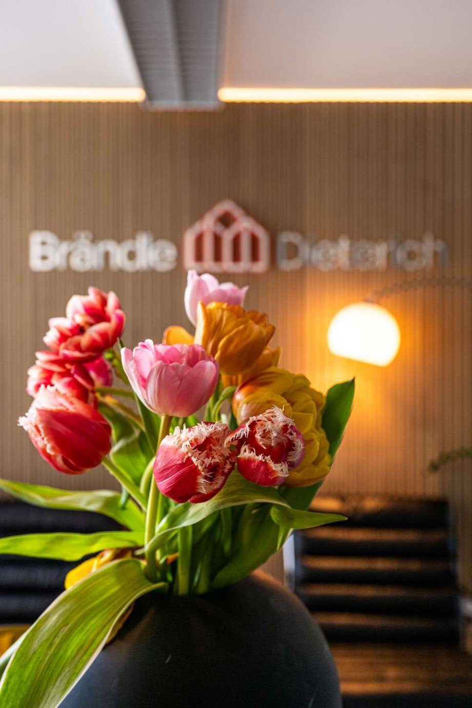 Br�ndle & Dieterich GmbH Etagenwohnung Senden